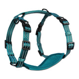 Alcott Adventure Nylon Harness Set Blue