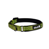 Alcott Adventure Reflective Collar Green