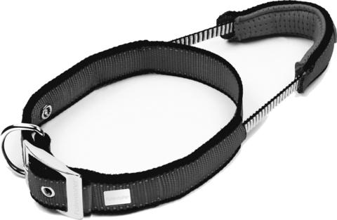 Patento pet collar with integrated leash best sale