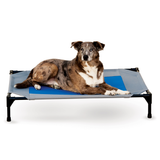Elevated Coolin' Pet Cot Bed Grey/Blue