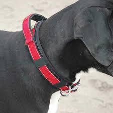 Patento pet collar with integrated leash clearance