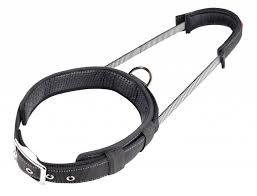 Patento pet collar with integrated leash outlet