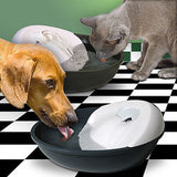 Pet Diner Water Bar