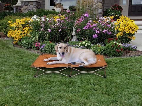 Carlson Portable Dog Bed Small 65 x 65cm Tan