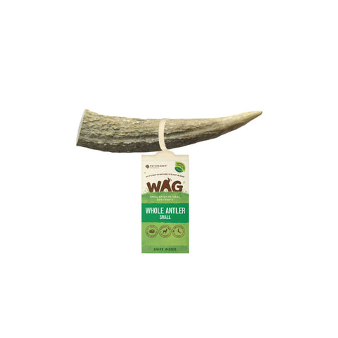 WAG Antler Whole Small