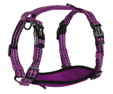 Alcott Adventure Nylon Harness Set Purple