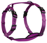 Alcott Adventure Nylon Harness Set Purple
