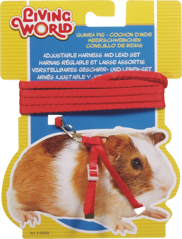 Living World Guinea Pig Harness/Lead Set