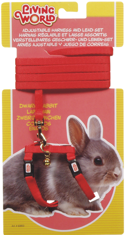 Living World Dwarf Rabbit Harness/Lead Set