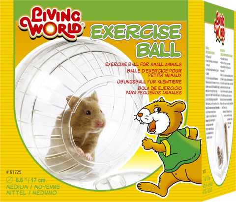 Living World Exercise Ball with Stand